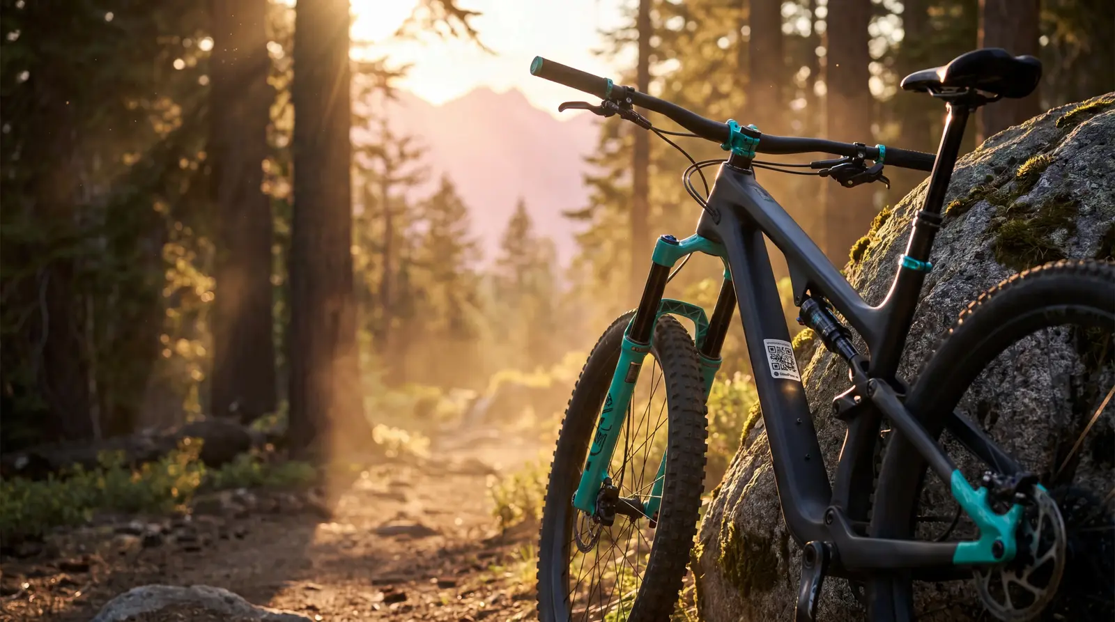 Mountainbike in alpiner Landschaft mit BikePass-Codierung am Rahmen